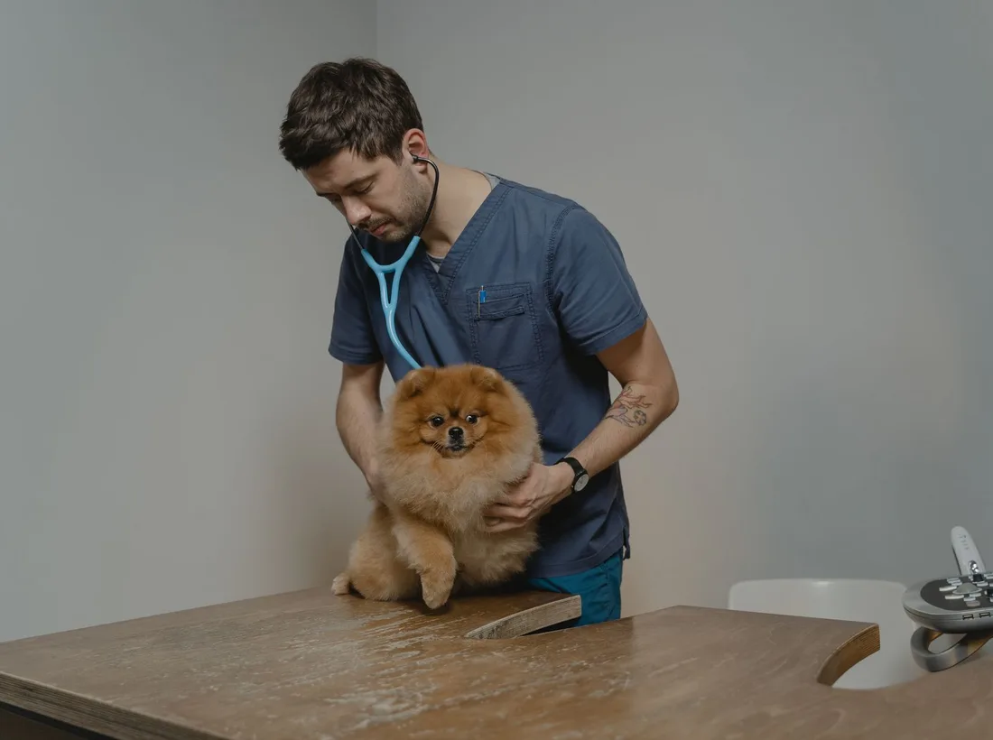 Veterinár s malým psíkom v ambulancii