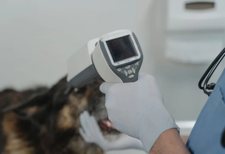 Diagnostické prístroje veterinárnej ambulancie